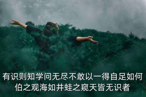 有識(shí)則知學(xué)問無盡不敢以一得自足如何伯之觀海如井蛙之窺天皆無識(shí)者
