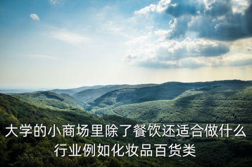大學(xué)的小商場里除了餐飲還適合做什么行業(yè)例如化妝品百貨類