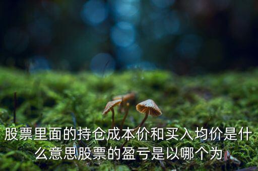 股票里面的持倉(cāng)成本價(jià)和買(mǎi)入均價(jià)是什么意思股票的盈虧是以哪個(gè)為