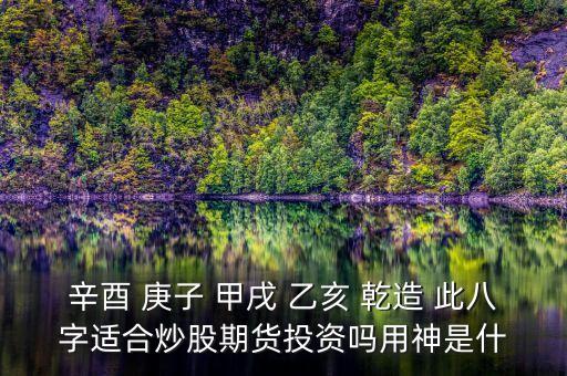 辛酉 庚子 甲戌 乙亥 乾造 此八字適合炒股期貨投資嗎用神是什