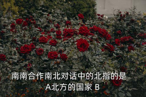 南南合作南北對話中的北指的是   A北方的國家 B