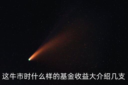 這牛市時(shí)什么樣的基金收益大介紹幾支