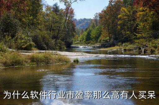 為什么軟件行業(yè)市盈率那么高有人買(mǎi)呆