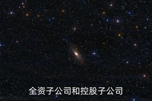 全資控股子公司是什么意思，全資子公司是怎么意思啊