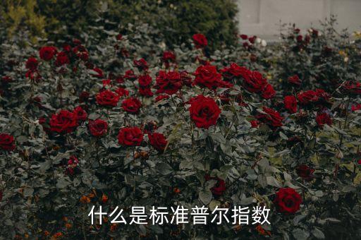 什么是標(biāo)準(zhǔn)普爾指數(shù)