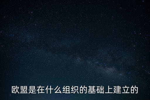 歐盟是在什么組織的基礎(chǔ)上建立的