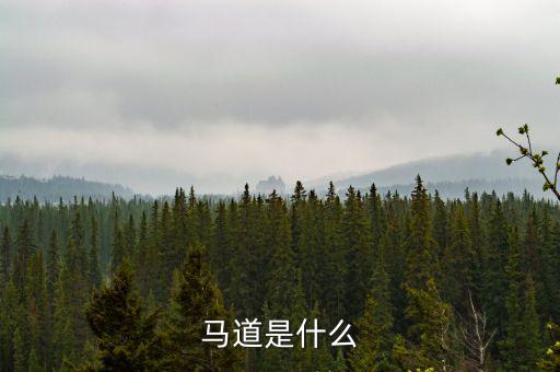 網(wǎng)架馬道是什么，網(wǎng)架結(jié)構(gòu)中下弦馬道是什么