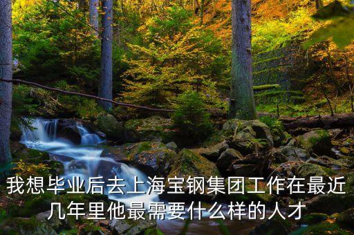 我想畢業(yè)后去上海寶鋼集團(tuán)工作在最近幾年里他最需要什么樣的人才