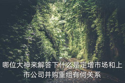 哪位大神來解答下什么是定增市場和上市公司并購重組有何關(guān)系