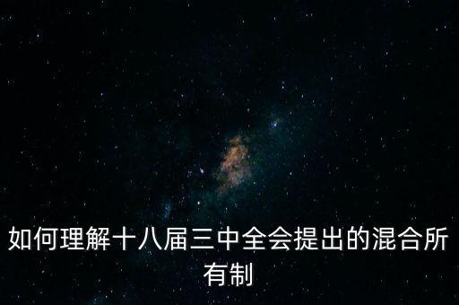 混合所有制是什么時(shí)候提出的，混合所有制改革的介紹