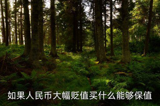 錢貶值買什么，人民幣貶值買什么好
