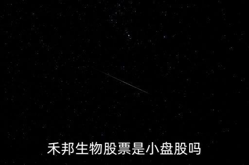 禾邦生物股票是小盤股嗎