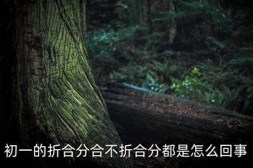 初一的折合分合不折合分都是怎么回事