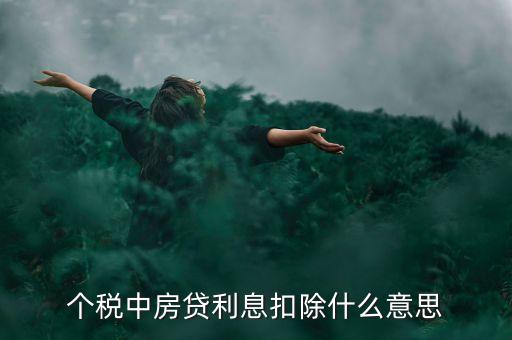 房貸利息抵扣個稅什么意思，個稅中房貸利息扣除什么意思