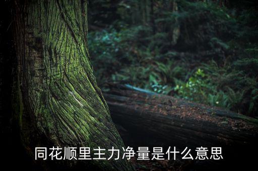 主力金額是什么意思，股市中主力顯示出的數(shù)值是什么意思