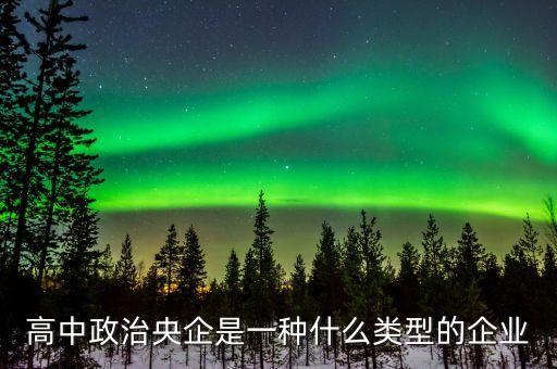 央企是一種什么性質(zhì)的企業(yè)，高中政治央企是一種什么類型的企業(yè)