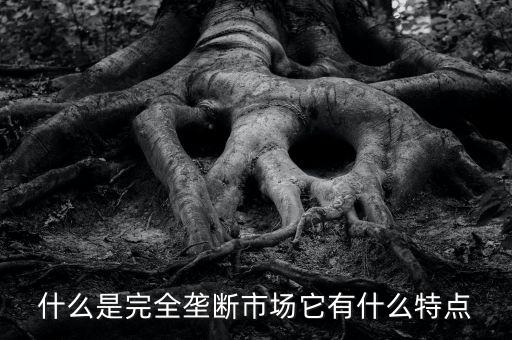 什么是完全壟斷市場(chǎng)它有什么特點(diǎn)