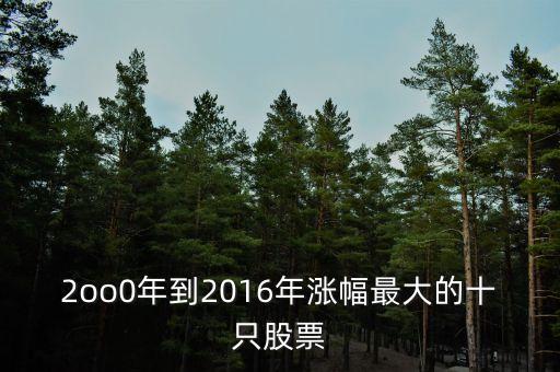 2oo0年到2016年漲幅最大的十只股票