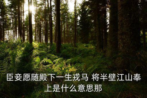 打下半壁江山什么意思，半壁江山的意思是