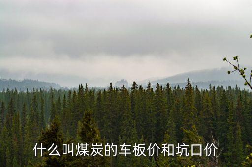 什么叫煤炭坑口價(jià)，煤炭坑口價(jià)格是什么意思呀有知道的好心人請(qǐng)給予答復(fù)