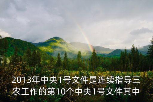 2013年中央1號文件是連續(xù)指導(dǎo)三農(nóng)工作的第10個(gè)中央1號文件其中