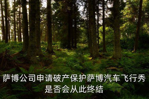 薩博公司申請(qǐng)破產(chǎn)保護(hù)薩博汽車飛行秀是否會(huì)從此終結(jié)