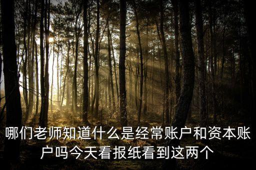什么是經(jīng)常賬戶，什么叫經(jīng)常帳