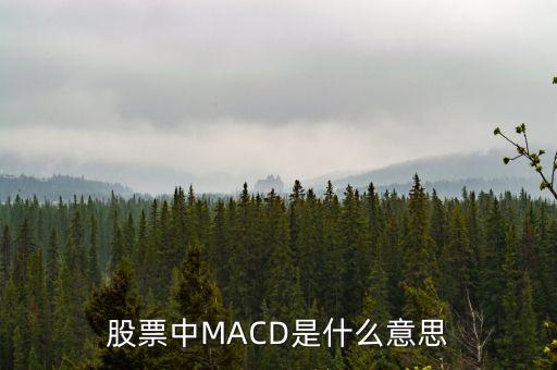 股票中MACD是什么意思