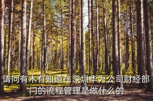 請問有木有知道在深圳華為公司財經(jīng)部門的流程管理是做什么的
