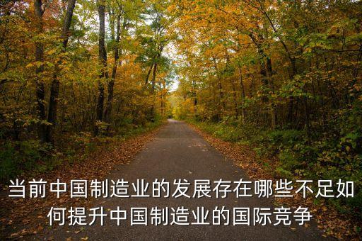 當前中國制造業(yè)的發(fā)展存在哪些不足如何提升中國制造業(yè)的國際競爭