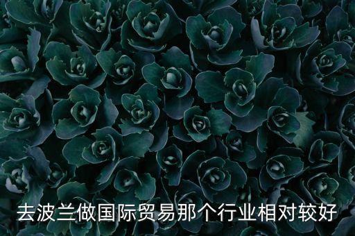 去波蘭做國(guó)際貿(mào)易那個(gè)行業(yè)相對(duì)較好