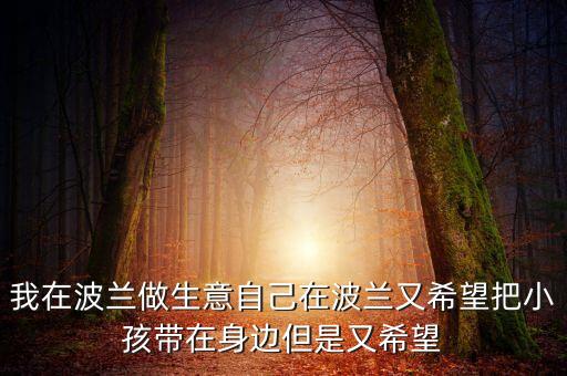 在波蘭做什么生意，去波蘭做國(guó)際貿(mào)易那個(gè)行業(yè)相對(duì)較好