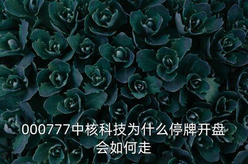 000777中核科技為什么停牌開(kāi)盤會(huì)如何走