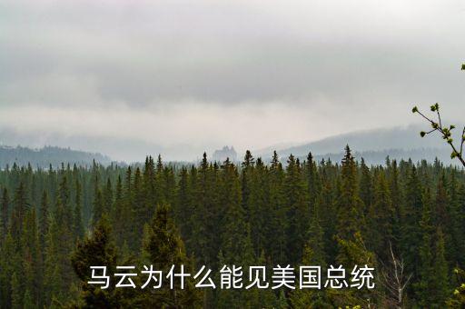 馬云為什么去美國，馬云為何在美國上市