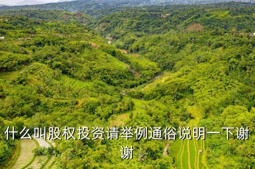 政府股權(quán)投資是什么，股權(quán)投資是什么意思呢