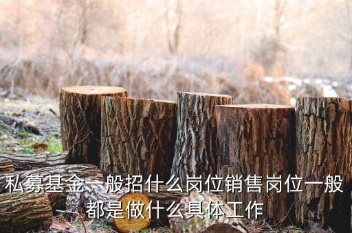 私募公司的市場部做什么，投資公司的市場部職員主要做什么