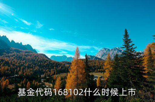 168101基金什么時(shí)候上市，基金代碼168102什么時(shí)候上巿