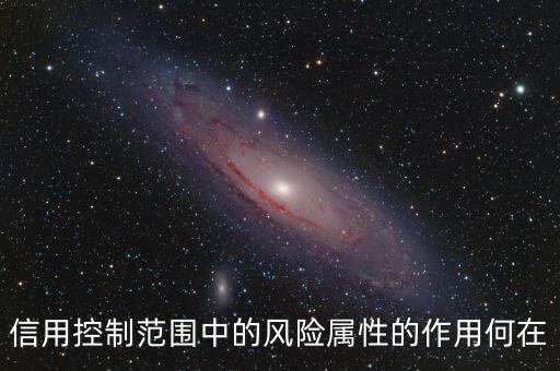 信用控制范圍中的風(fēng)險(xiǎn)屬性的作用何在