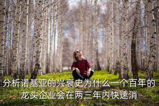 分析諾基亞的興衰史為什么一個(gè)百年的龍頭企業(yè)會(huì)在兩三年內(nèi)快速消