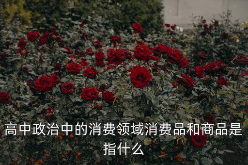 高中政治中的消費(fèi)領(lǐng)域消費(fèi)品和商品是指什么