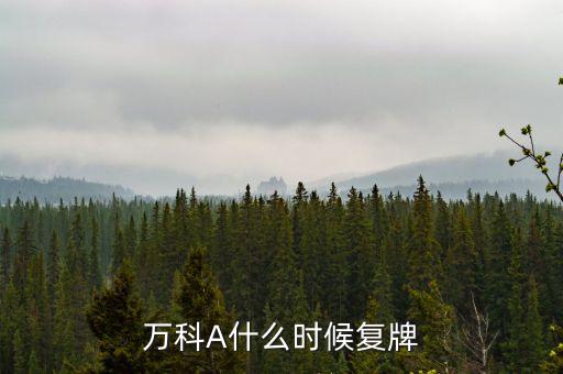 萬科A什么時候復(fù)牌