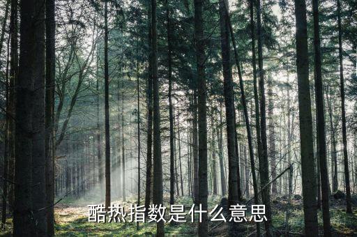 熱度指數(shù)是什么，Heat index 加熱指數(shù)是什么意思