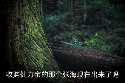 收購(gòu)健力寶的那個(gè)張?，F(xiàn)在出來(lái)了嗎