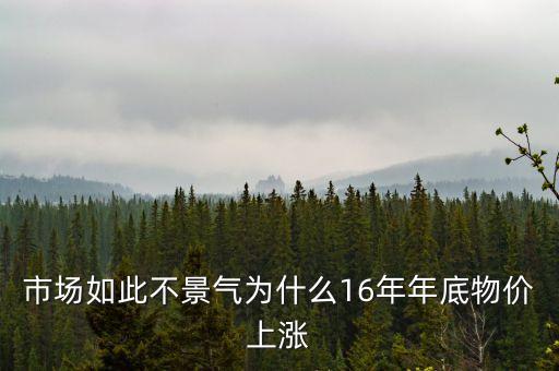 16年股市是什么領(lǐng)漲的，2016年中國股市是牛市還是熊市