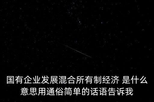 為什么要進(jìn)行混合所有制改革，國有企業(yè)發(fā)展混合所有制經(jīng)濟(jì) 是什么意思用通俗簡單的話語告訴我