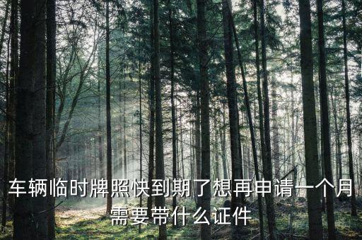 車輛臨時牌照快到期了想再申請一個月需要帶什么證件
