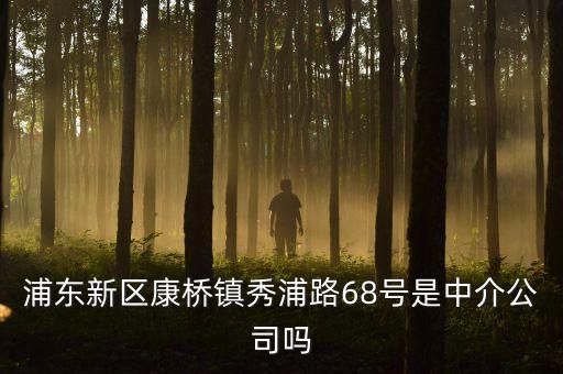 浦東新區(qū)康橋鎮(zhèn)秀浦路68號(hào)是中介公司嗎