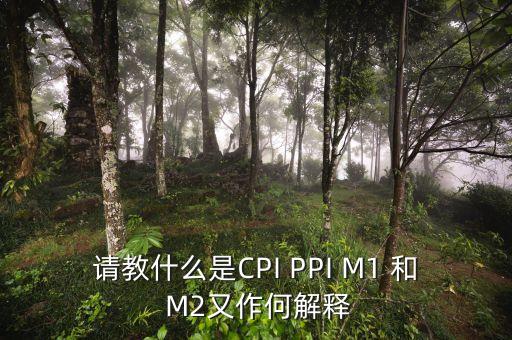 m2指數(shù)是什么，請教什么是CPI PPI M1 和 M2又作何解釋