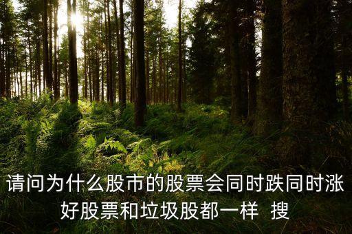 請問為什么股市的股票會同時跌同時漲好股票和垃圾股都一樣  搜
