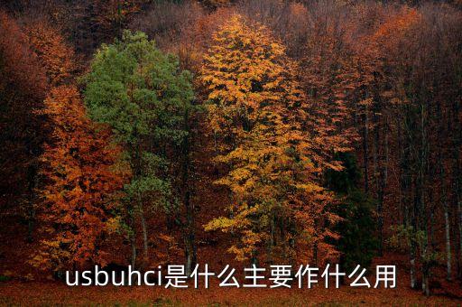 usbuhci是什么主要作什么用